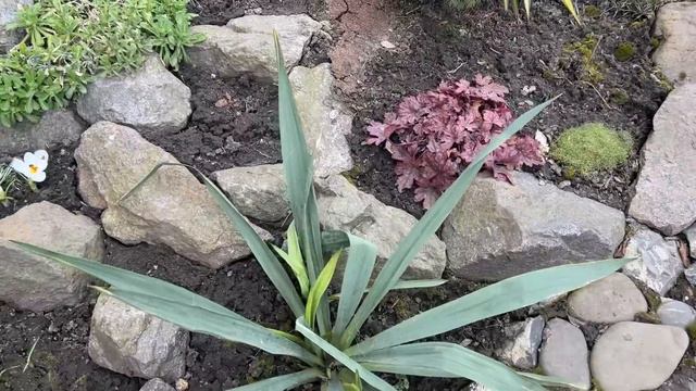 Весняна ПРОГУЛЯНКА САДОМ! смотреть онлайн