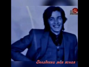 Цветы - Звёздочка моя ясная