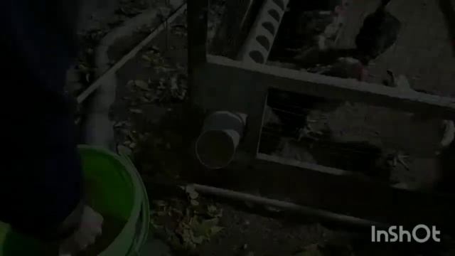 Кормушка для кур