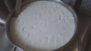 Моцарелла: тестируем магазинное молоко