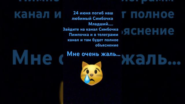 Это произошло 24 июня… Хозяин Симбочки рассказал об этом сегодня #симбочкапимбочка #легенда 😪😭😢🥺