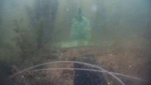 РЕАКЦИЯ РЫБЫ НА ЧАБРЕЦ, СУПЕР ПРИКОРМКА. Подводная съемка.