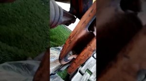 ДТ-75 Первых годов выпуска