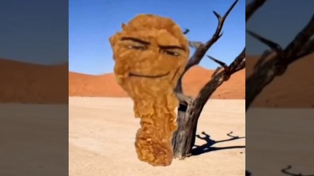 2_5343747478745269049.webm