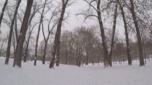 Gopro 5 hero black в 2023 году. Стоит ли брать? Видео тест. Гоупро на снегу.