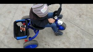 Лев опять катается на трёхколёсном велосипеде.