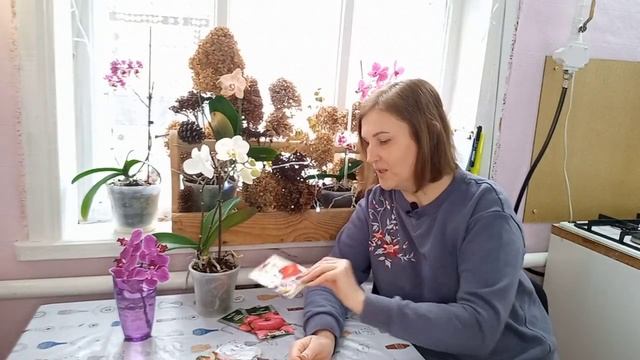 Очень урожайные,вкусные и сладкие ТОМАТЫ для ОТКРЫТОГО ГРУНТА! #огород#томаты#сортапомидор#сад#посе