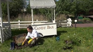 Огород из подручных материалов: Создание грядок для огорода Клумбы из старых вещей, Парк Маяковског