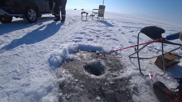 Открытие омулёвой рыбалки 2024 Байкал смотреть онлайн