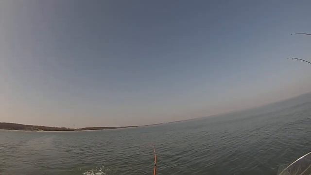 Балтийское море. Кумжа 1.7кг смотреть онлайн