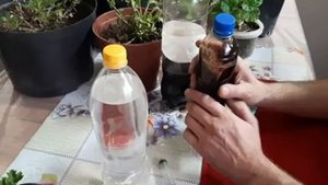 ЧЕМ УДОБРИТЬ ГЕРАНЬ Чтобы ЛИСТЬЯ НЕ ЖЕЛТЕЛИ у пеларгонии и не Сохли что делать.mp4