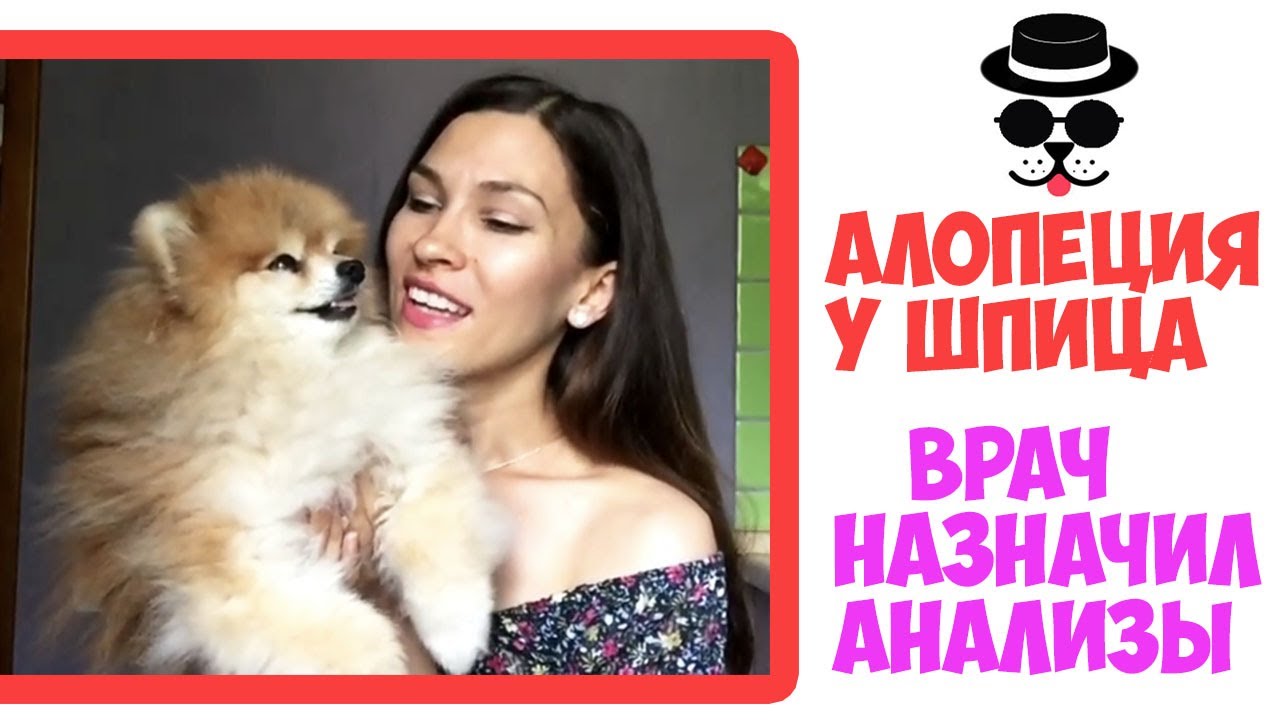Первый визит ЩЕНКА  к врачу ЛЕЧИМ АЛОПЕЦИЮ