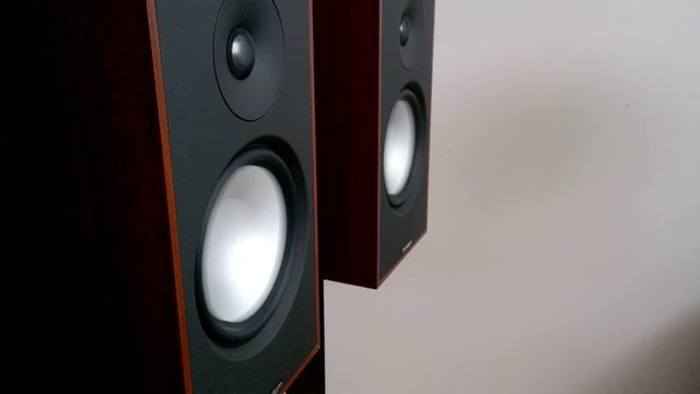 Paradigm Mini Monitor v7 смотреть онлайн