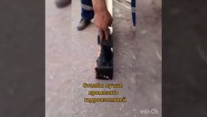 Забор из горбыля, в разбежку