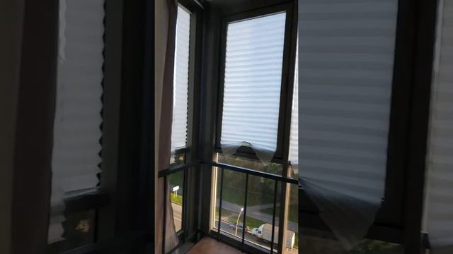 проспект Просвещения, дом 99 смотреть онлайн