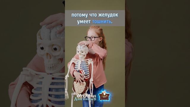 Желудок умнее мозга