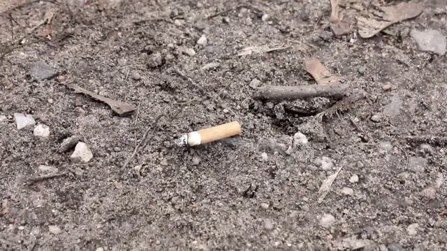 Социальный ролик в защиту окружающей среды смотреть онлайн