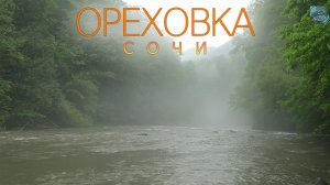 Сочи. Ореховка. Водопад. Весна, 2021