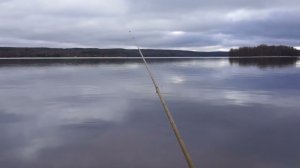 К кабанам да на рыбалку. Охотничья места. Три в одном.