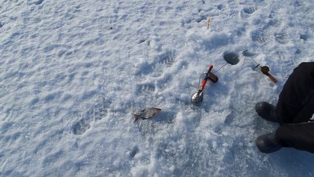 РЫБАЛКА на ПЛОТВУ на Рузском Водохранилище!!! Март-2023 г. Глухозимье задолбало... смотреть онлайн