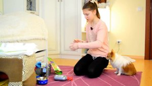 Первые Покупки для Щенка || Стартовый набор