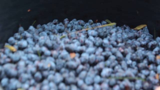 ЗА ЖИМОЛОСТЬЮ ВЫБРАЛИСЬ .