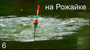 Рыбалка на маленькой речке Рожайке на поплавок часть 6, ловля на течении и в затишке Fishing câu cá