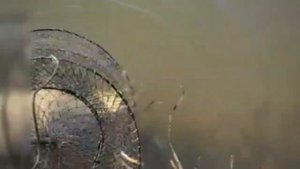 Рыбалка Рязанская область,  Спасский район, село Троица, ловля  Карпа