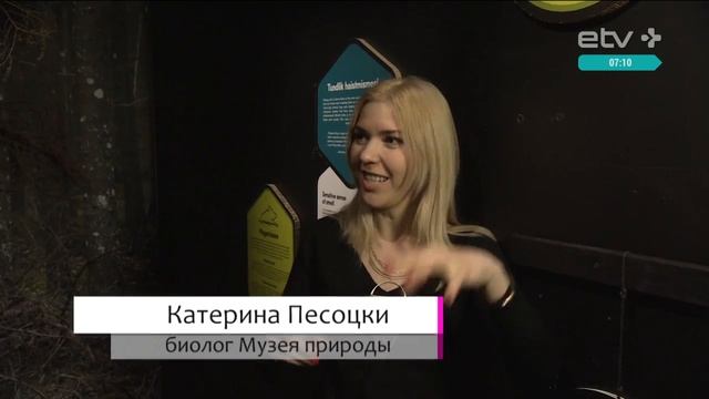 Татьяна Лаврова прошла по следам кабанов смотреть онлайн