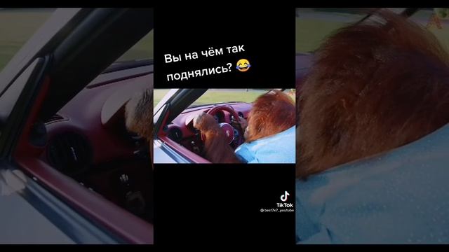 ?Приколы тик ток/Самые смешные поиколы/?#юмор#тикток #приколы #весёлое