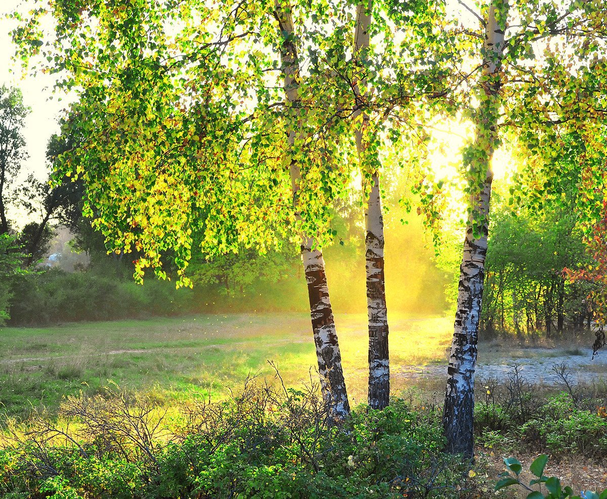 Как рисовать рассвет,туман на рассвете|How to draw the sunrise #art