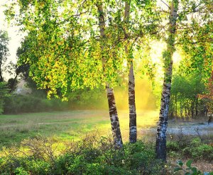 Как рисовать рассвет,туман на рассвете|How to draw the sunrise #art