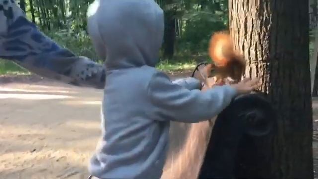 ? Нескучные белочки "Нескучного сада". Короткая зарисовка прогулки в первый день ОСЕНИ ?? смотреть онлайн