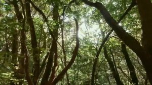 Мощная Рукья от болей в груди и в душе От сглаза и порчи, от колдовство сихра. Лечит много болезни