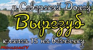 #рр4 р.Северский Донец Вырезуб 14.08