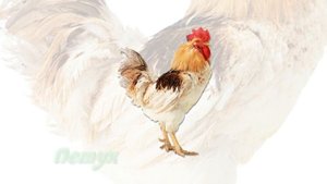 Лето. Рассказываем детям про лето. (Летом на поле, в лесу, утренние лучи. Ушинский К.Д.)