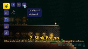 TOP 5 Most Useless Potions in Terraria 1.4