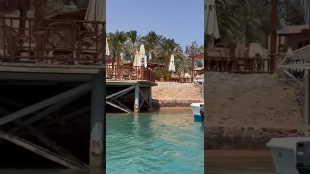 Egypt. Red Sea. El Gouna. Египет. Египетская Венеция - город Эль - Гуна.