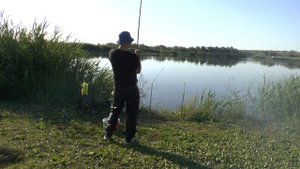 КАРП СОШЕЛ С УМА !!!   ловля карпа на донку