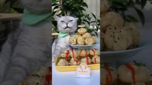 Chef Cat's Super Long Food Collection Makes You Satisfying！ | Cat Cooking Food | Cute And Funny Cat