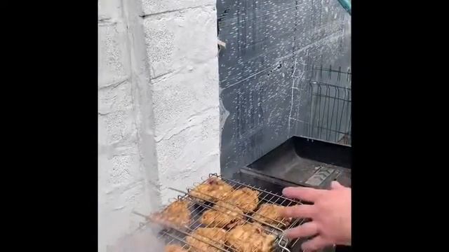 Куриные бёдрышки на мангале смотреть онлайн