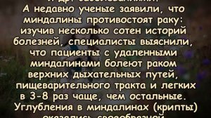 ПОЧЕМУ НЕЛЬЗЯ ВЫРЕЗАТЬ ГЛАНДЫ?