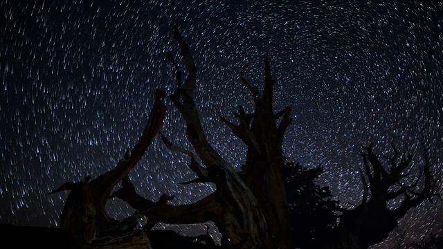 8Dio Score This: Constellations – Alexander Ilyin – Contact смотреть онлайн