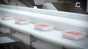 Автоматическая загрузка продукта в лоток ANYTRAY Carsoe