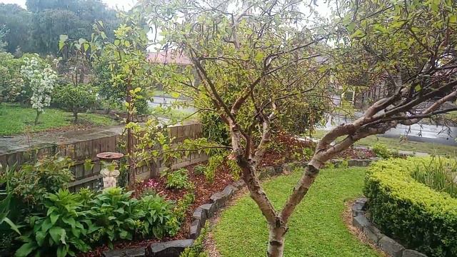 Snowing in Sunbury, Victoria 25 September 2020 смотреть онлайн