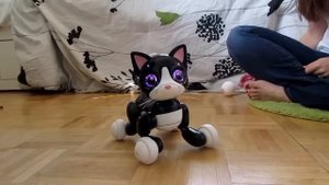 Zoomer Kitty - Interactive Robot Cat