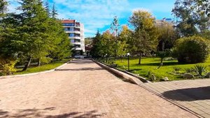 Немного_Фрегата_.Адлер.Пение птиц.