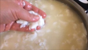 46.  Простой домашний сыр . С ферментом.