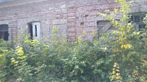 Кияница в 4K | Прогулка по усадьбе Лещинских (Харитоненко) | Кияницкий дендропарк