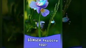 С ДОБРЫМ УТРОМ ВАС ДРУЗЬЯ! Христианское пожелание.